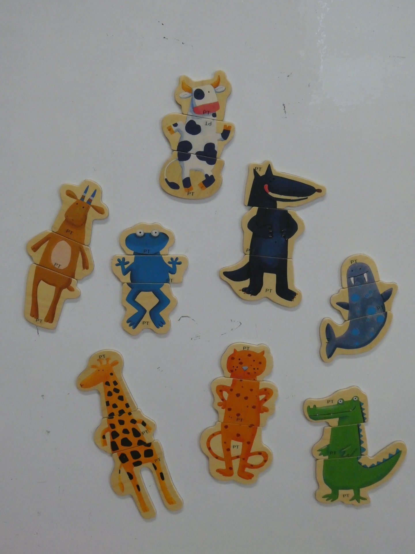 アニマル マグネット