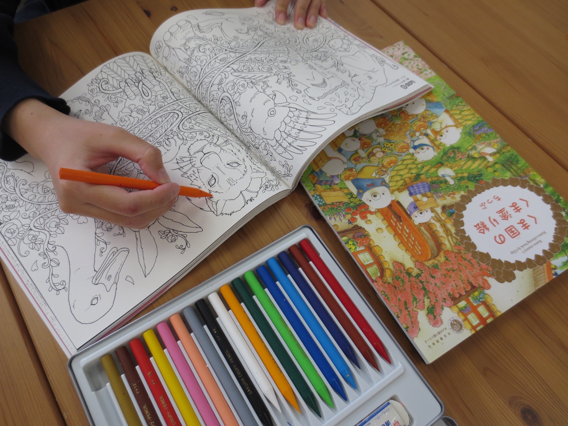 くま国のくま塗り絵 (大人の塗り絵シリーズ)